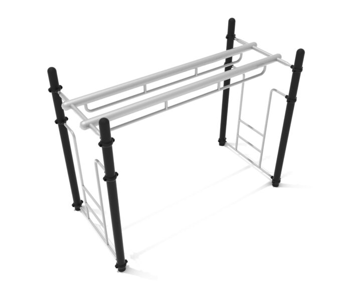 Double Parallel Bar Ladder