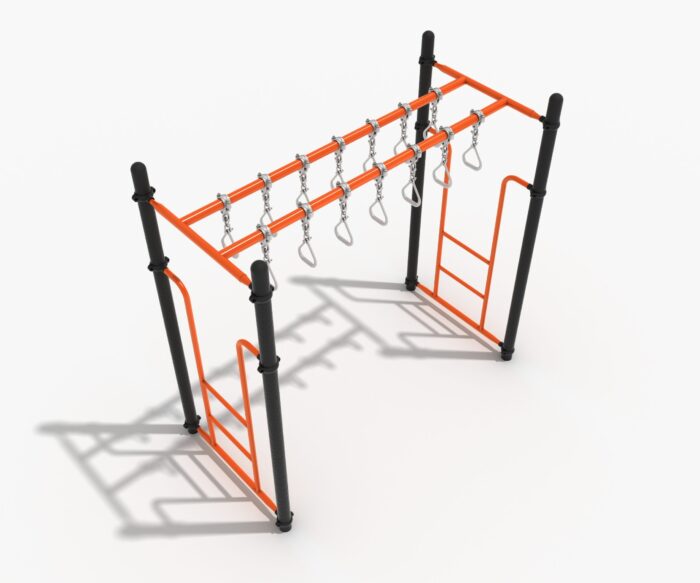 Double Straight Swinging Ring Ladder