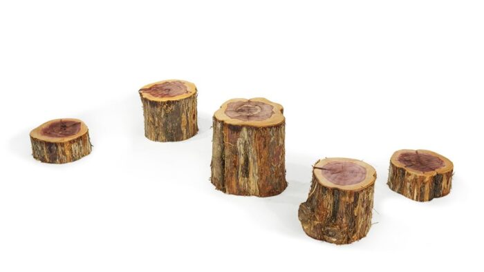Wood Stepping Stump (Set of 5)